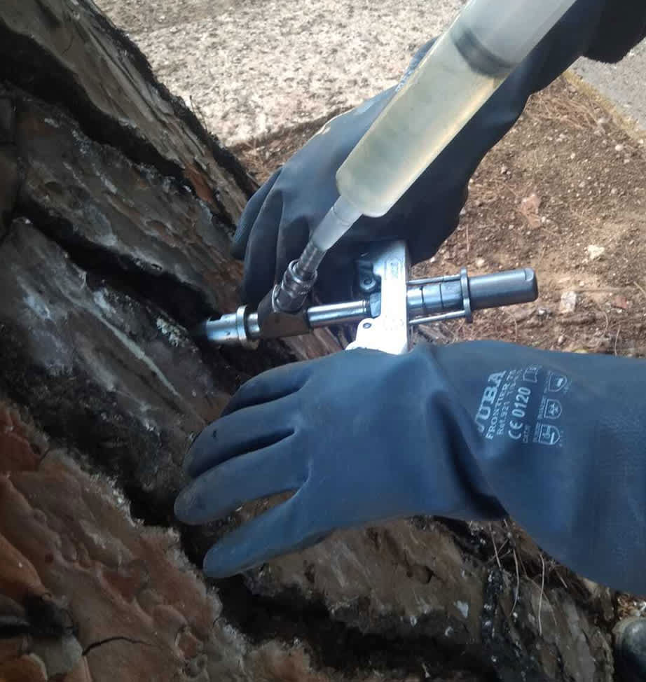 control de plagas marbella estepona y sotogrande