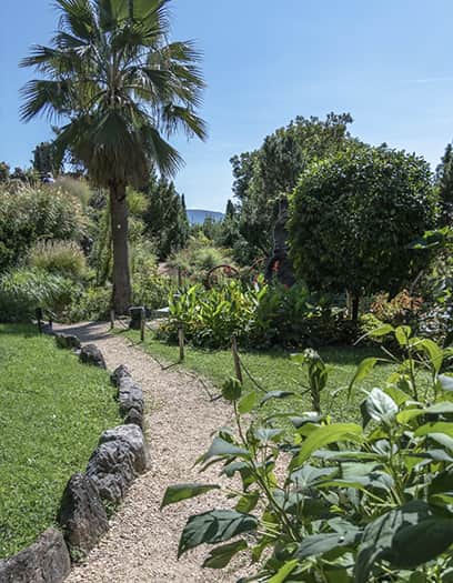 jardinero en marbella estepona y sotogrande