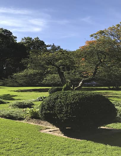 trabajos en jardines marbella estepona sotogrande