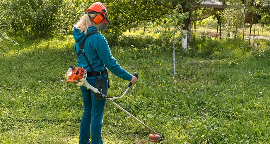 trabajos forestales en marbella estepona y sotogrande
