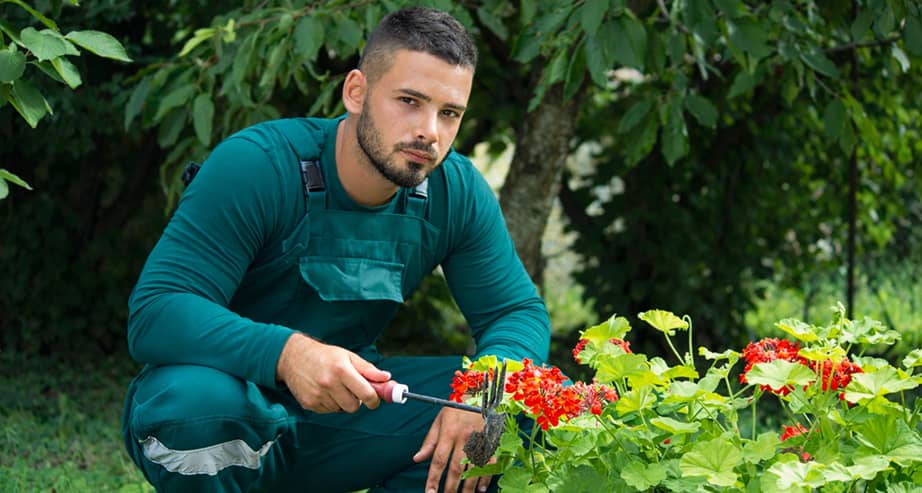 trabajos forestales y de jardineria en marbella estepona y sotogrande